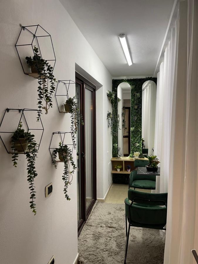 Superior 2Br Apartment 地拉那 外观 照片